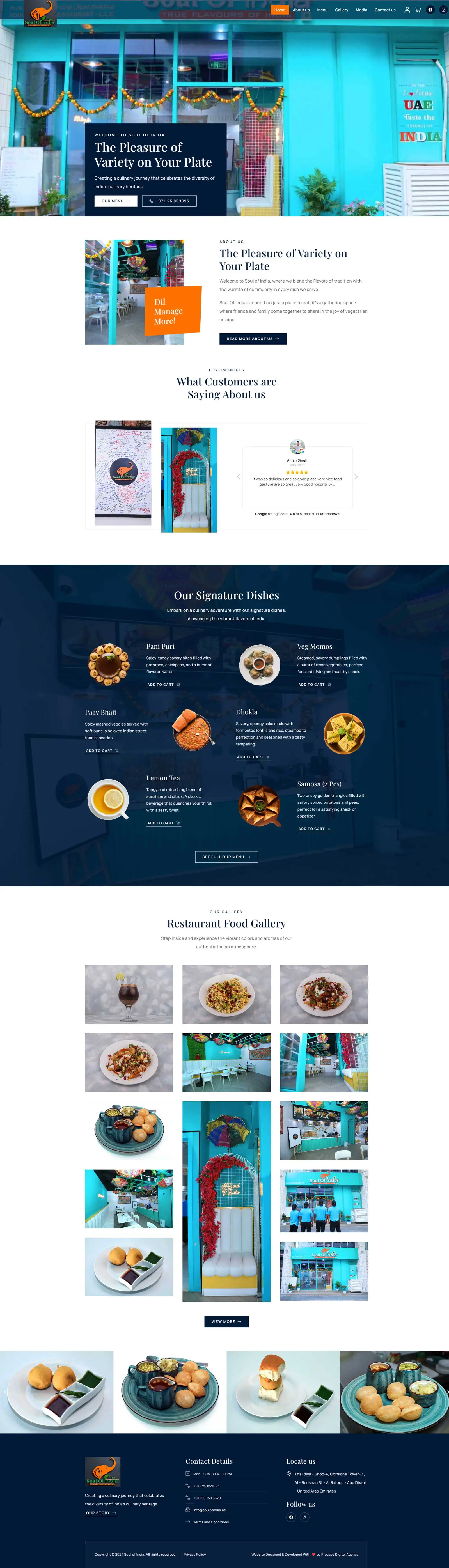 Soul of India Website