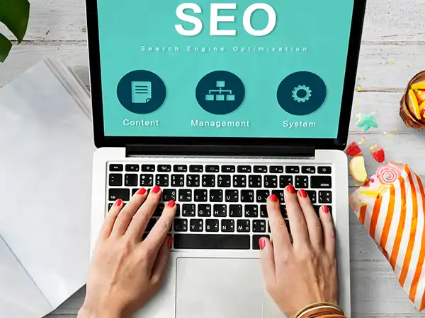 Website Design Agency 109 Feature 3