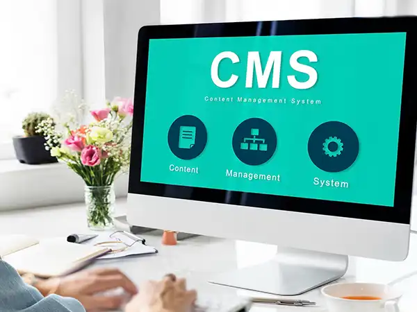 Website Design Agency 119 Feature 8